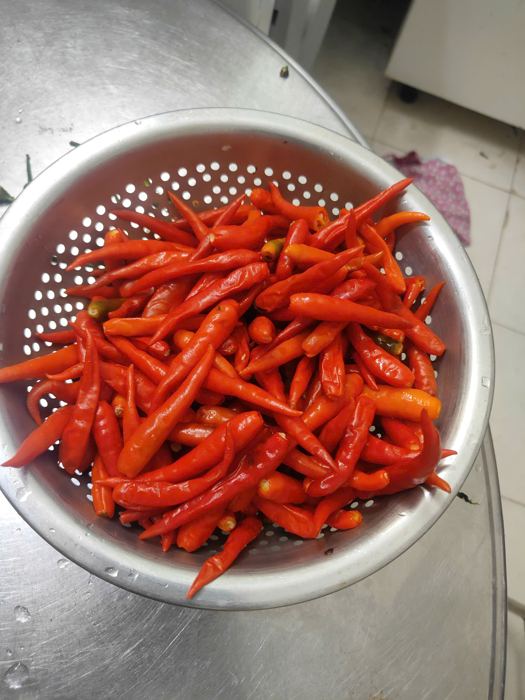Rổ ớt đỏ tươi