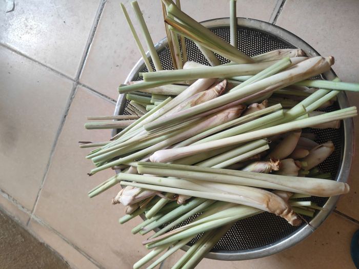 Bó sả tươi