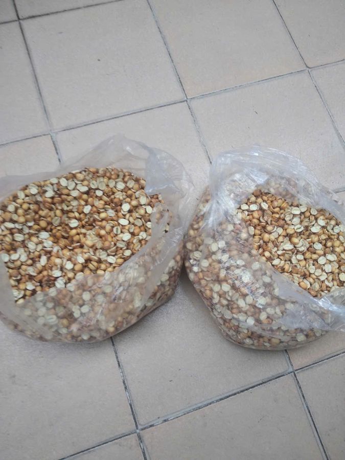 Hai túi hạt sen đã phơi khô