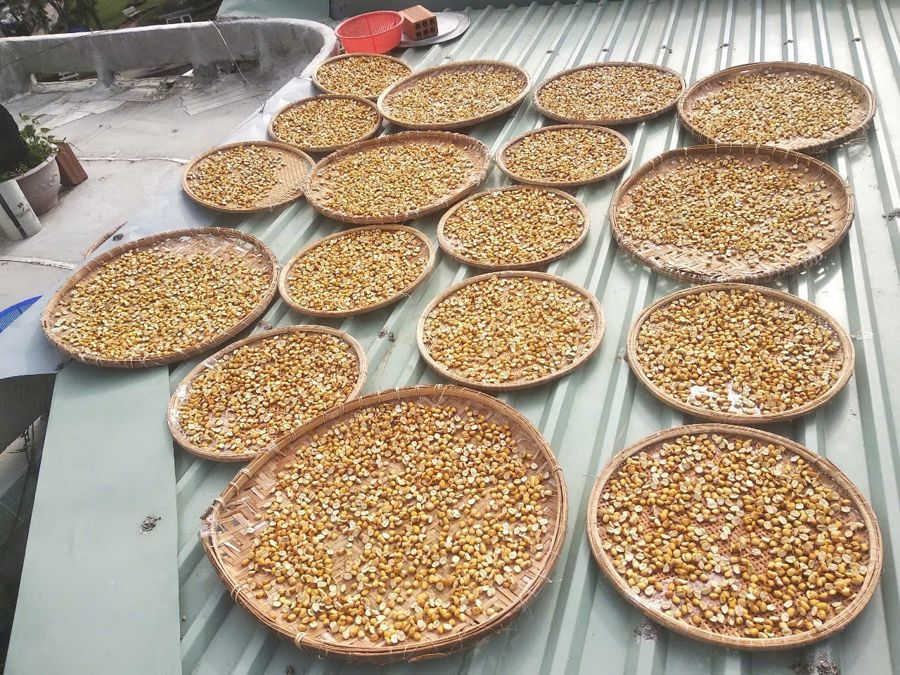 Hạt sen phơi trên nhiều nia tre
